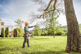 Leaf Removal in Sea Bright, NJ